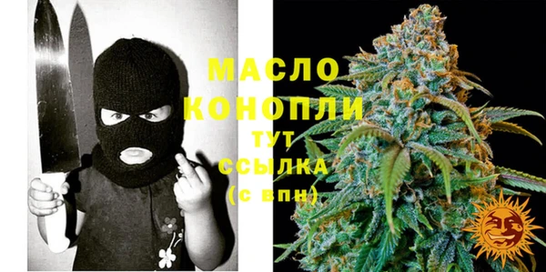 МДМА Каменка