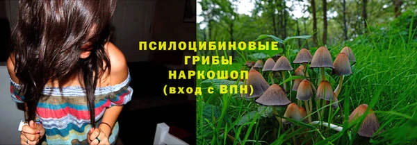 МДМА Каменка