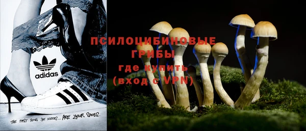 МДМА Каменка