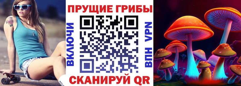 Купить где  Лобня  Галлюциногенные грибы MAGIC MUSHROOMS 